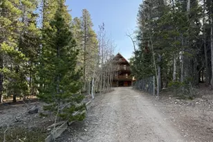 101 Service Berry Ln, Black Hawk, CO 80422 - Photo 5