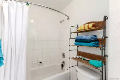 10105 Charissglen Lane, Highlands Ranch, CO 80126 - Photo 29