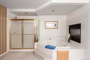 10105 Charissglen Ln, Highlands Ranch, CO 80126 - Photo 23