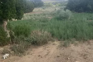 17161 County Road 71 1, Trinidad, CO 81082 - Photo 3