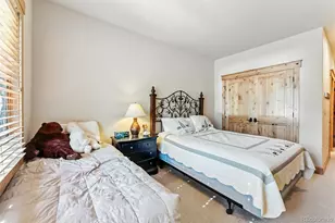 309 S 6th Ave, Frisco, CO 80443 - Photo 21