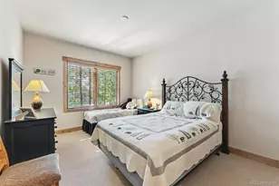 309 S 6th Ave, Frisco, CO 80443 - Photo 19