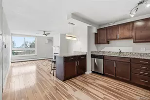 1050 N Lafayette, Denver, CO 80218 - Photo 17