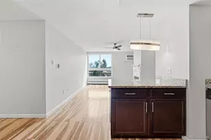 1050 N Lafayette, Denver, CO 80218 - Photo 21