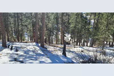 1493 Pinedale Ranch Circle, Evergreen, CO 80439 - Photo 13