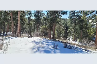 1493 Pinedale Ranch Circle, Evergreen, CO 80439 - Photo 15