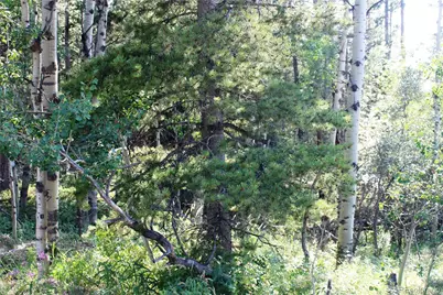 Lot 028 Sunflower Lane, Black Hawk, CO 80422 - Photo 1