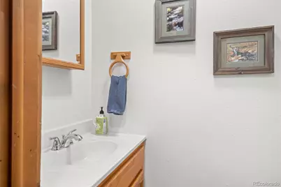 838 Silver Creek Road, Idaho Springs, CO 80452 - Photo 13