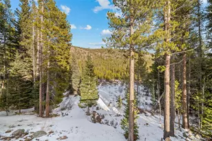 838 Silver Creek Rd, Idaho Springs, CO 80452 - Photo 17