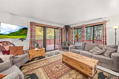 838 Silver Creek Road, Idaho Springs, CO 80452 - Photo 3