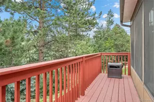 28236 Lupine Dr, Evergreen, CO 80439 - Photo 29