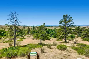 11975 Ramble Ln, Parker, CO 80138 - Photo 33