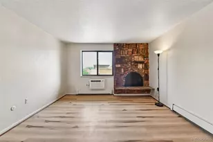 1008 N Corona Street, Denver, CO 80218 - Photo 3