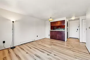 1008 N Corona Street, Denver, CO 80218 - Photo 5