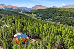 1662 Bobcat Ln, Fairplay, CO 80440 - Photo 43
