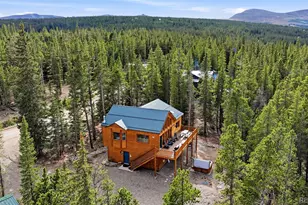 1662 Bobcat Ln, Fairplay, CO 80440 - Photo 41