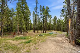 1662 Bobcat Ln, Fairplay, CO 80440 - Photo 27