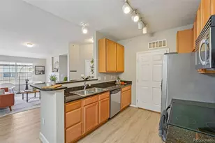 9180 Rolling Way, Parker, CO 80134 - Photo 9