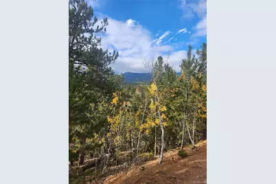 72 Hall Road, Bailey, CO 80421 - Photo 7