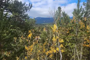 72 Hall Rd, Bailey, CO 80421 - Photo 7