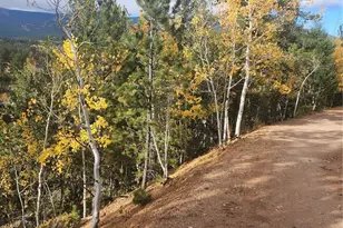 72 Hall Rd, Bailey, CO 80421 - Photo 3