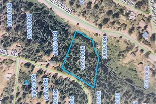 72 Hall Rd, Bailey, CO 80421 - Photo 1