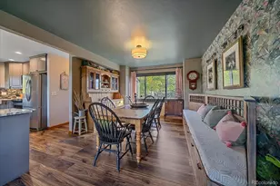 4346 Co Rd 43, Bailey, CO 80421 - Photo 23