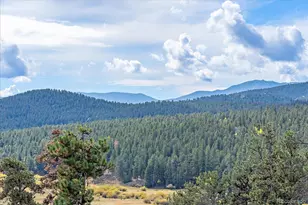 4346 Co Rd 43, Bailey, CO 80421 - Photo 41