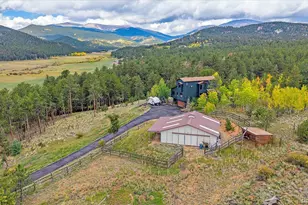 4346 Co Rd 43, Bailey, CO 80421 - Photo 5