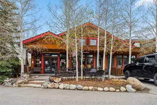 80 Cove Blvd, Dillon, CO 80435 - Photo 35