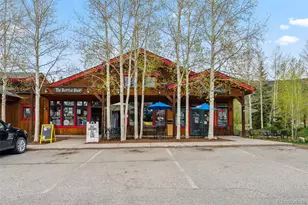 80 Cove Blvd, Dillon, CO 80435 - Photo 37