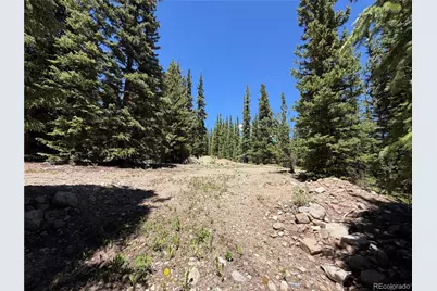 339 Silverheels Place, Fairplay, CO 80440 - Photo 1