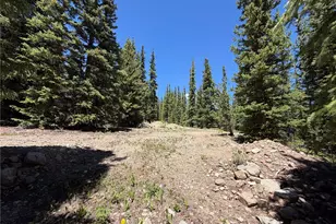 339 Silverheels Pl, Fairplay, CO 80440 - Photo 1
