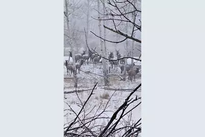 10401 Windy Ridge Road, Aguilar, CO 81020 - Photo 17