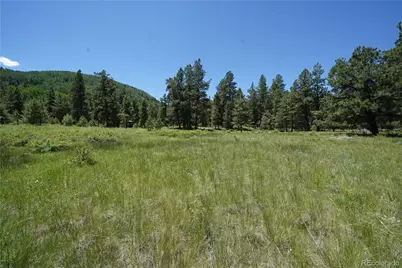 136 Elk Meadow Run, Antonito, CO 81120 - Photo 3