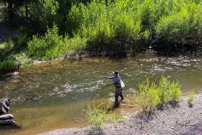 136 Elk Meadow Run, Antonito, CO 81120 - Photo 15
