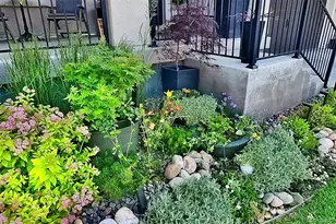 2179 S Poppy St, Lakewood, CO 80228 - Photo 43