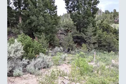Lot 1593 Jaidi Road, Fort Garland, CO 81133 - Photo 7