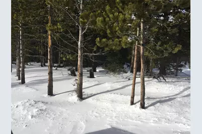 1090 Alice Road, Idaho Springs, CO 80452 - Photo 3