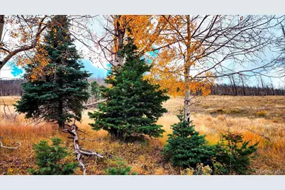 448 Wagon Mesa Loop, Fort Garland, CO 81133 - Photo 23