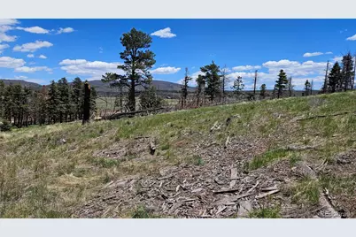 448 Wagon Mesa Loop, Fort Garland, CO 81133 - Photo 9