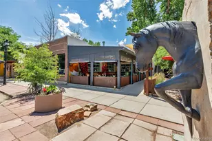 1210 Nova Pl, Erie, CO 80516 - Photo 45