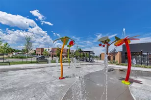 1210 Nova Pl, Erie, CO 80516 - Photo 43