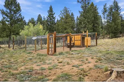199 Elk Horn Court, Bailey, CO 80421 - Photo 19