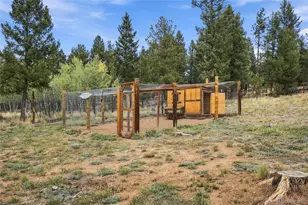 199 Elk Horn Ct, Bailey, CO 80421 - Photo 19