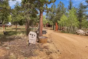 199 Elk Horn Ct, Bailey, CO 80421 - Photo 23