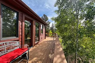 199 Elk Horn Ct, Bailey, CO 80421 - Photo 17