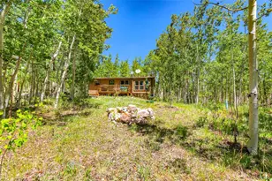 2436 High Creek Rd, Fairplay, CO 80440 - Photo 49