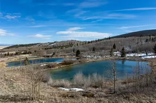 2436 High Creek Rd, Fairplay, CO 80440 - Photo 45