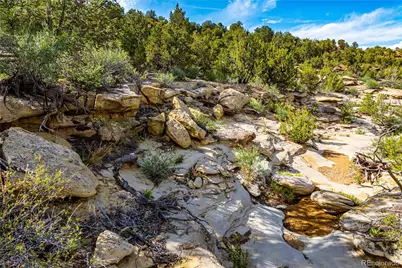 Tbd L Bandito Trail, Florence, CO 81226 - Photo 5